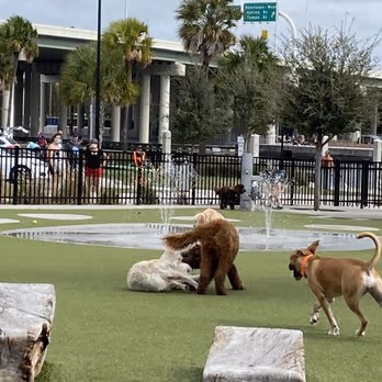 Dog Park at Julian B. Lane Riverfront Park